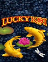 Lucky Koi